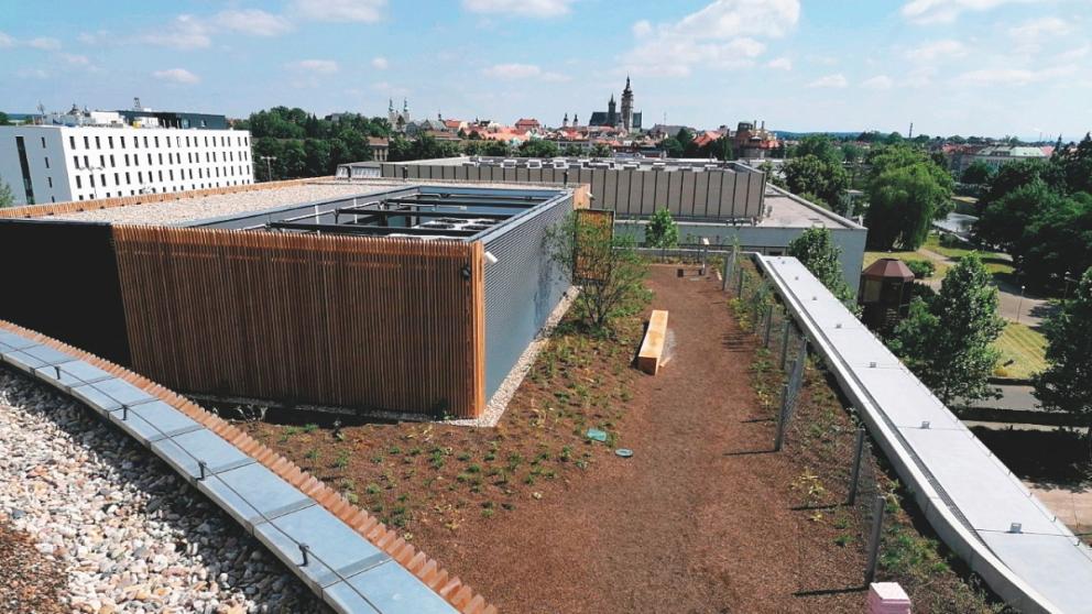 Nová budova ČSOB v Hradci Králové – skladba střešního pláště pro zelenou střechu