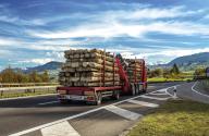 V Česku přetrvává stav, kdy se vyváží dřevní surovina bez další sofistikované přidané hodnoty.
